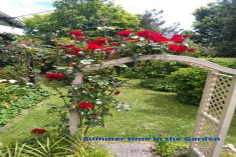 Photo of property in 347b Peachgrove Road, Fairfield, Hamilton, 3214