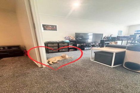 Photo of property in The Lofts, 32/185 Victoria Street, Te Aro, Wellington, 6011