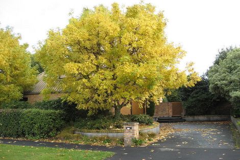 Photo of property in 19 Holderness Place, Ilam, Christchurch, 8041