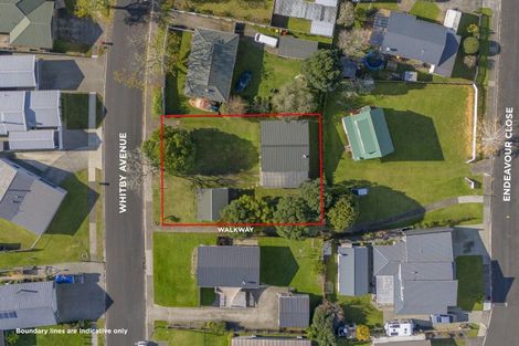 Photo of property in 16 Whitby Avenue, Whitianga, 3510
