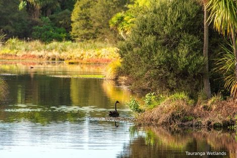 Photo of property in 97 Millers Road, Brookfield, Tauranga, 3110