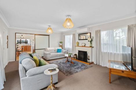 Photo of property in 158 Tiro Tiro Road, Levin, 5510