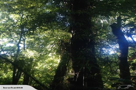 Photo of property in 483 Waiotemarama Gorge Road, Waimamaku, Kaikohe, 0473