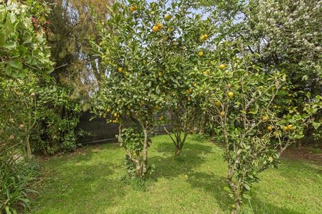 Photo of property in 70 Kaimango Road, Hauturu, Te Awamutu, 3878