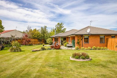 Photo of property in 8 Clifford Place, Amberley, 7410