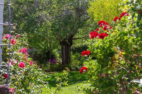 Photo of property in 64 Manuka Street, Lansdowne, Masterton, 5810