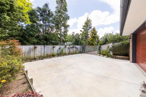 Photo of property in 198d Vogel Street, Roslyn, Palmerston North, 4414