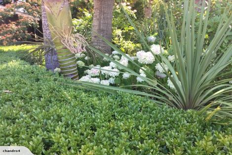 Photo of property in 88 Te Pua Road, Kaikohe, 0472