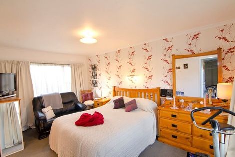 Photo of property in 111 Cheviot Street, Roxburgh, 9500