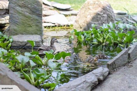 Photo of property in 100 Putiki Drive, Putiki, Whanganui, 4500