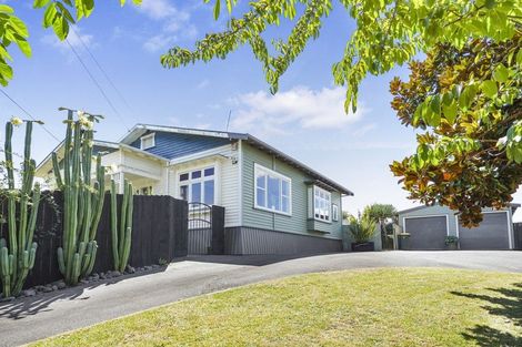Photo of property in 138 Rimu Street, Maeroa, Hamilton, 3200