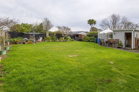 Photo of property in 31 Carlisle Street, Levin, 5510