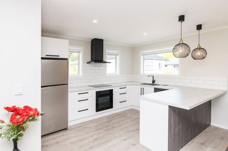 Photo of property in 208a Tremaine Avenue, Highbury, Palmerston North, 4412