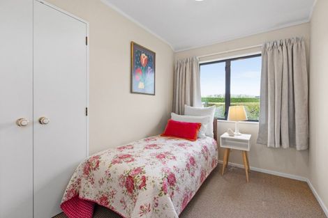 Photo of property in 98 Crystall Road, Pakipaki, Hastings, 4172