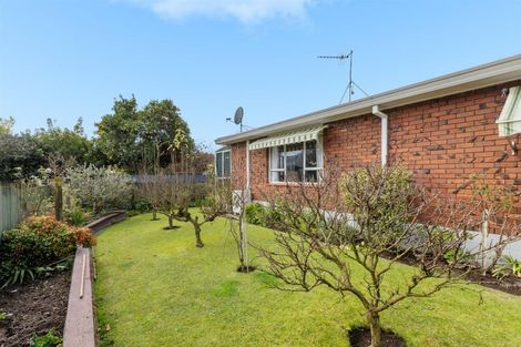 Photo of property in 151b Boucher Avenue, Te Puke, 3119