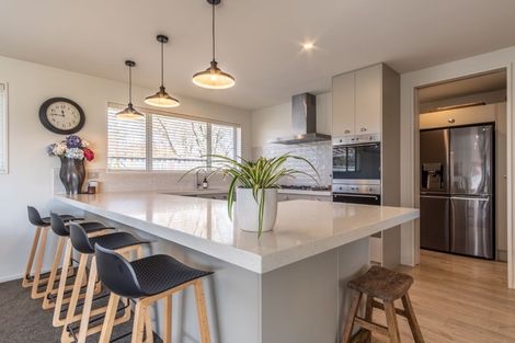 Photo of property in 38 Blakes Road, Prebbleton, 7604