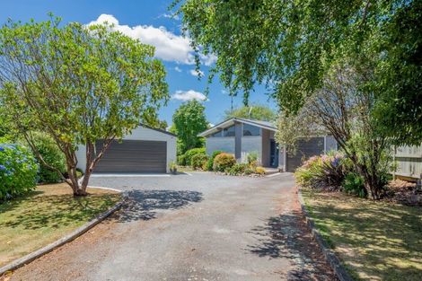 Photo of property in 17 Stuart Street, Levin, 5510