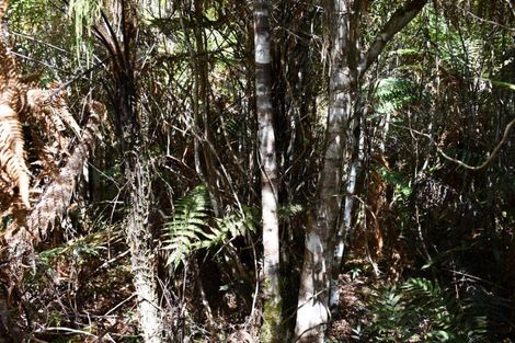 Photo of property in 78b Eco Place, Little Wanganui, Karamea, 7893