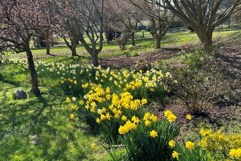 Photo of property in 599 Mount Barker Road, Wanaka, 9382