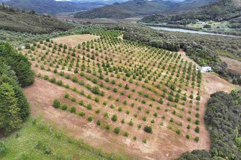 Photo of property in 105 Frantoio Ridge Road, Mangonui, 0494