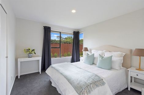 Photo of property in 101 Petrie Street, Richmond, Christchurch, 8013