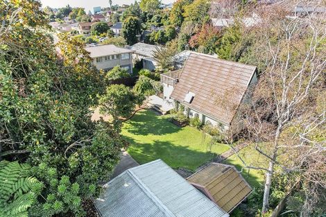 Photo of property in 64 Hazelwood Avenue, Dinsdale, Hamilton, 3204