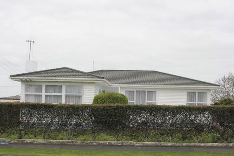 Photo of property in 49 Power Street, Levin, 5510