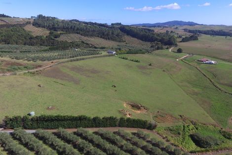 Photo of property in 90d Leccino Valley Road, Mangonui, 0494