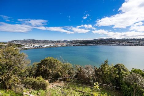 Photo of property in 63 Glendevon Place, Vauxhall, Dunedin, 9013