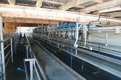 Photo of property in 343 Opunake Road, Cardiff, Stratford, 4391