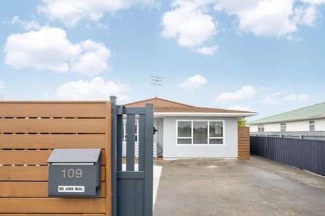 Photo of property in 109 Auckland Road, Greenmeadows, Napier, 4112