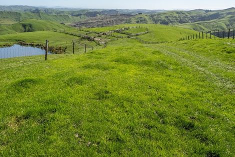 Photo of property in 425 Daggs Road, Bideford, Masterton, 5882