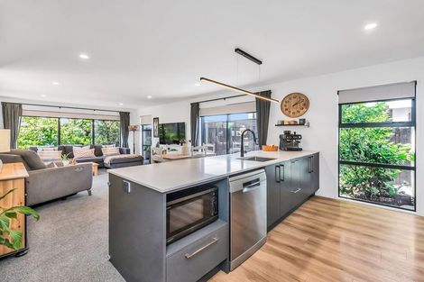 Photo of property in 17 Burrow Street, Rolleston, 7614