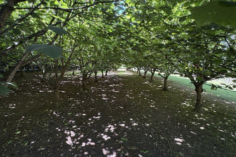 Photo of property in 459 Flora East, Makarewa, Invercargill, 9876