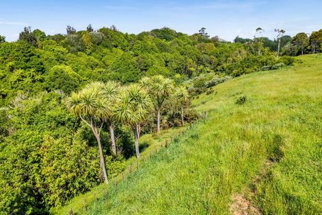 Photo of property in 203 Henwood Road, Westgate, 0814