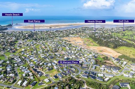 Photo of property in 36 Marram Place, Mangawhai Heads, Mangawhai, 0505