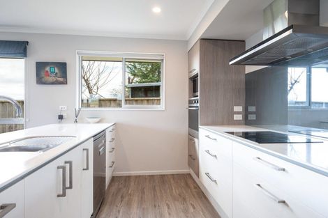 Photo of property in 4 Campari Drive, Richmond, 7020
