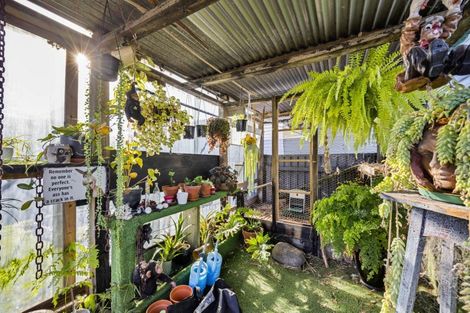 Photo of property in 77 Patu-kukupa Street, Manaia, 4612