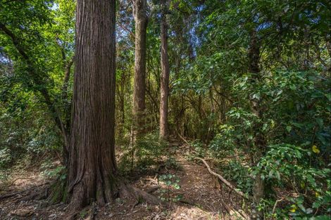 Photo of property in 342 Le Bons Bay Road, Le Bons Bay, Akaroa, 7583