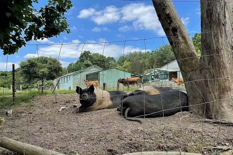 Photo of property in 654 Inland Road, Helensville, 0875