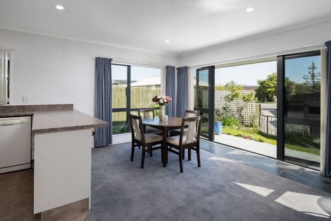 Photo of property in 12b Gaylee Place, Redwoodtown, Blenheim, 7201