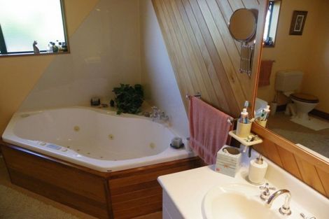 Photo of property in 24 Wayne Place, Methven, 7730