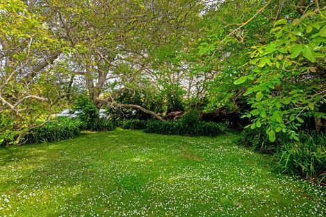 Photo of property in 341 Wharerata Road, Matawhero, Gisborne, 4071