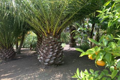 Photo of property in 17 Karaka Drive, Kerikeri, 0230