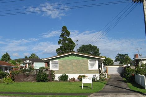 Photo of property in 115 Ireland Road, Mount Wellington, Auckland, 1060