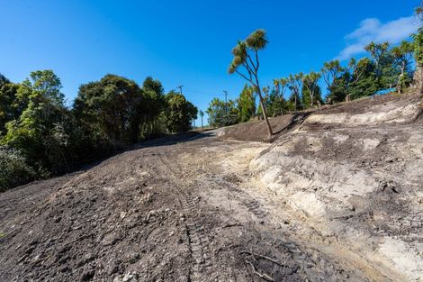 Photo of property in 16 Rowland Street, Osborne, Port Chalmers, 9081