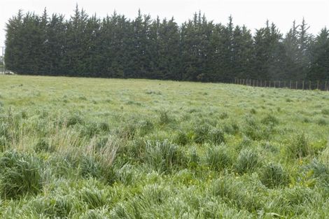 Photo of property in 1168 Edendale Woodlands Highway, Edendale, Wyndham, 9893