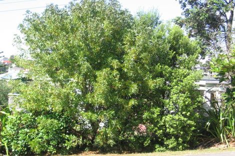 Photo of property in 25 Masterton Road, Rothesay Bay, Auckland, 0630