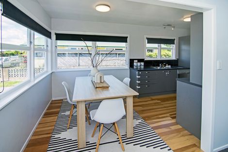 Photo of property in 29 Daniell Street, Solway, Masterton, 5810