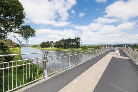 Photo of property in 20 Ruha Street, West End, Palmerston North, 4412